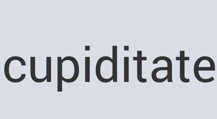 Gorgeous Leather XORts