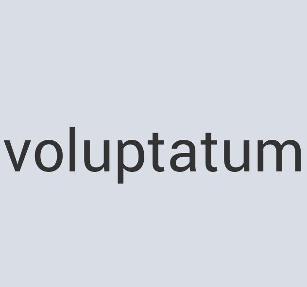 Heavy Duty Rubber Comtroller