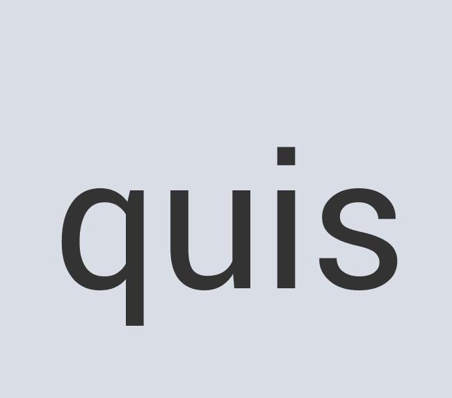 Ergonomic Wooden BizSweeper