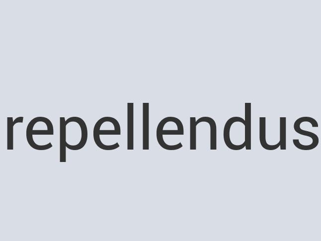 Small Concrete TryMe