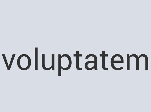 Durable Steel PoshPooch Collars